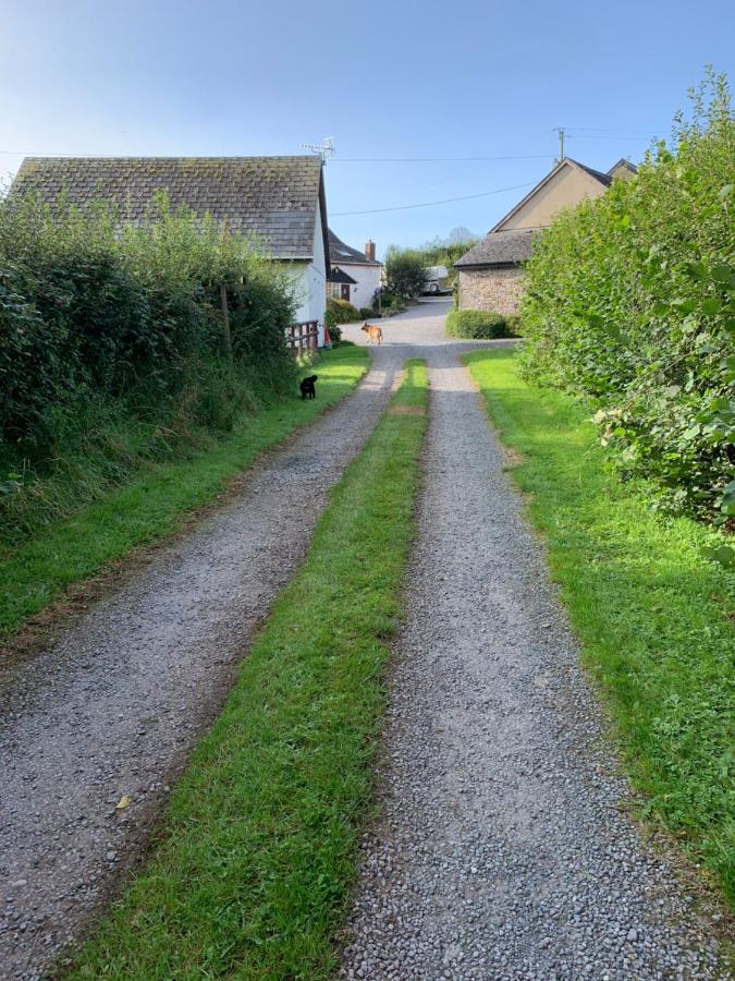 The Reindeer Retreat Buttercup Twin Hotel Kidwelly Eksteriør billede